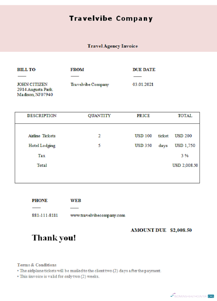 Download USA Travelvibe Company invoice Photoshop template